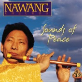 Nawang Khechog - Wanting Peace