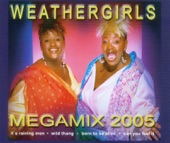 Mega-Mix 2005 (It`s Raining Men, Wild Thang, Born to Be Alive, Can U Feel It) artwork