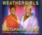 Mega-Mix 2005 (It`s Raining Men, Wild Thang, Born to Be Alive, Can U Feel It) artwork