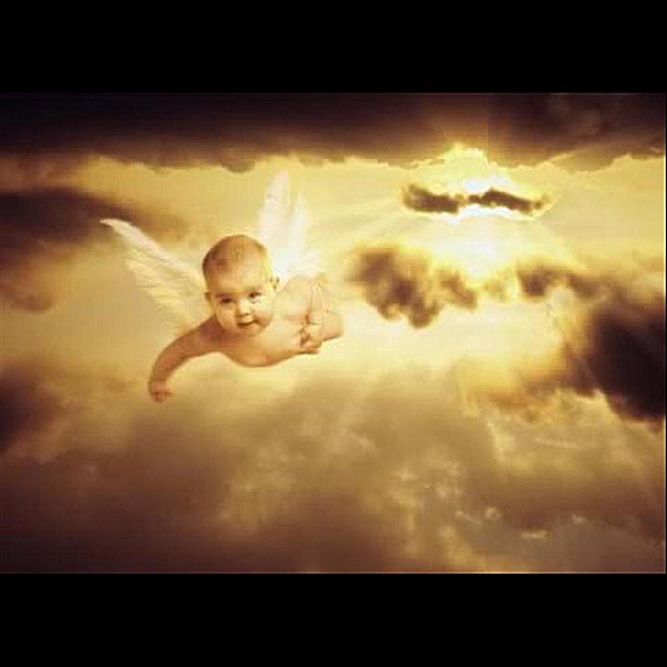 Обложка альбома «Baby Caylee Fly Away - Single» — Lawrence Brown