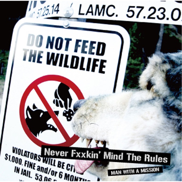 NEVER FXXKIN' MIND THE RULES - Single