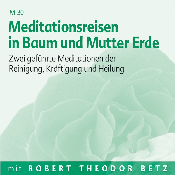 Meditationsreise in Baum und Mutter Erde