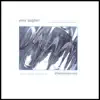 Amir Baghiri - Lucid Phantom