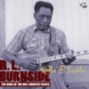 R.L. Burnside