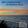 Flute Solo In A Park (Flötensolo im Park) - Life Sounds Nature