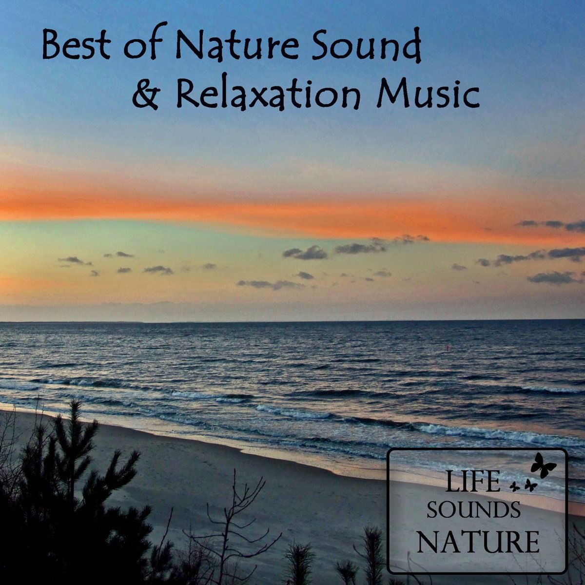 ‎Best Of Nature Sounds And Relaxation Music (with Birds & Singing Bowls