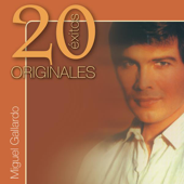 Tu Amante o Tu Enemigo song art