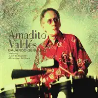 La Fiesta De Amadito — Amadito Valdes