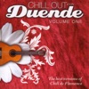 Chill Out Con Duende, Vol. 1