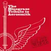 Pickin' On Series - I Don't Want to Miss a Thing (feat. Cornbread Red)