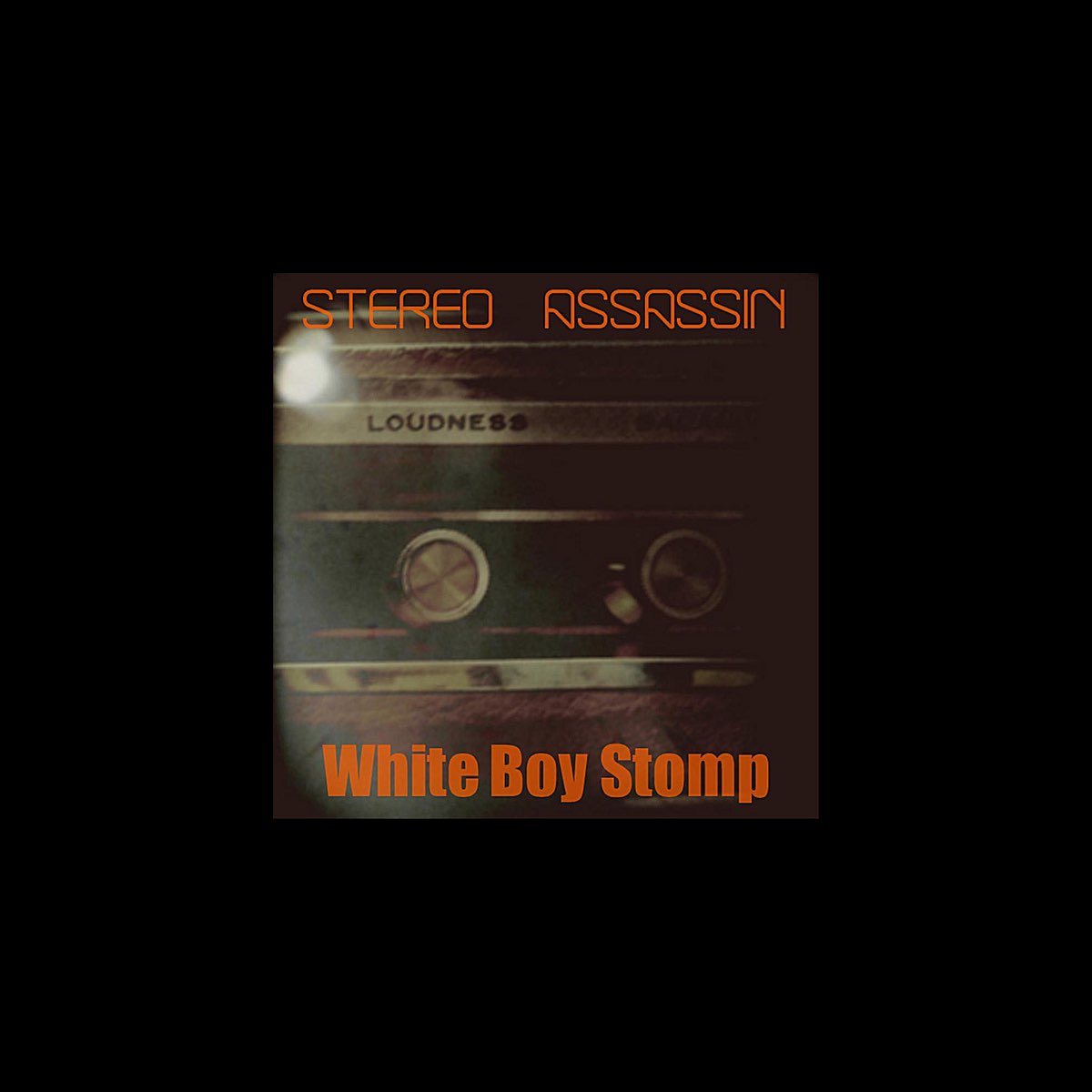 ‎White Boy Stomp - EP - Album by Stereo Assassin - Apple Music