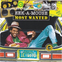 Most Wanted: Eek a Mouse