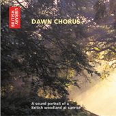 Dawn Chorus: A Sound Portrait of a British Woodland at Sunrise (Unabridged)