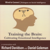 Training the Brain: Cultivating Emotional Intelligence - Richard Davidson & Daniel Goleman