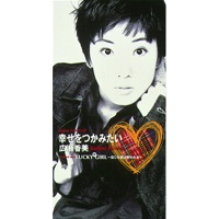 Shiawase O Tsukamitai - Single - Kohmi Hirose