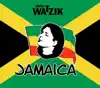Chris Watzik - Jamaica (Summer Edit)