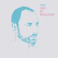 Sort of Revolution (The Cinematic Orchestra Remix) — Fink