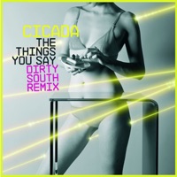 Cicada - The Things You Say (Bpm Radio Edit)