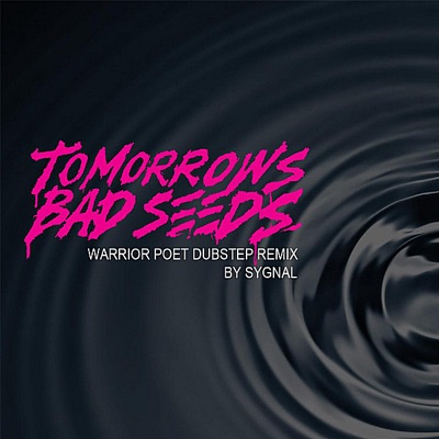 Warrior Poet Dubstep (Remix) - Single