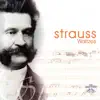 Johann Mertz & Waltz The Symphony - Blue Danube