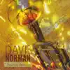 Dave C. Norman - What Is Hip?