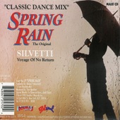 Spring Rain (Radio Edit) artwork