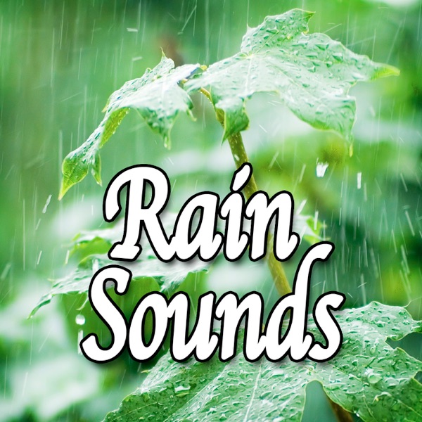 Rain Sounds (Nature Sounds)