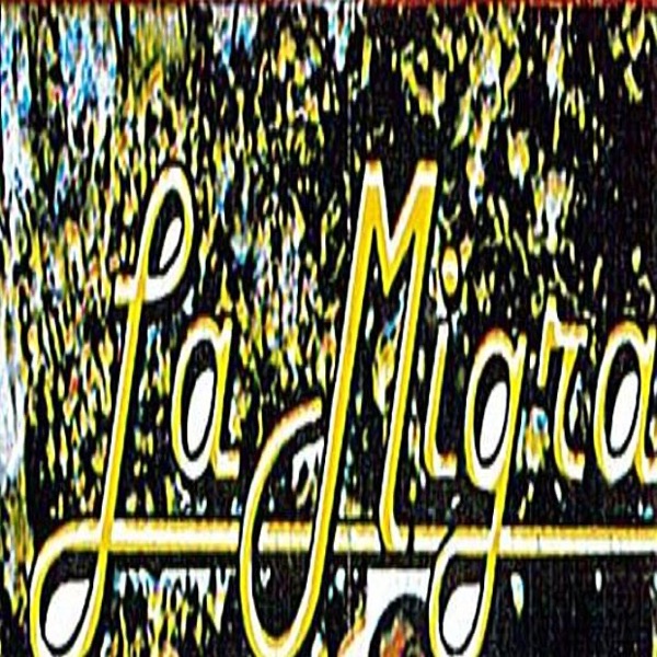 16 Exitos artwork