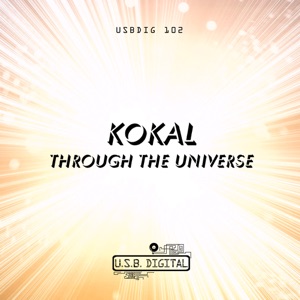 Through the Universe