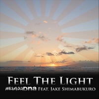 Feel the Light (feat. Jake Shimabukuro) - Single - Manoa DNA