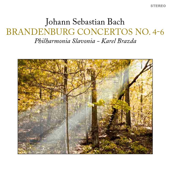 Brandenburg Concerto No. 4 in G Major, BWV 1049: II. Andante