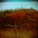 Time Being - In the Care of Knowing