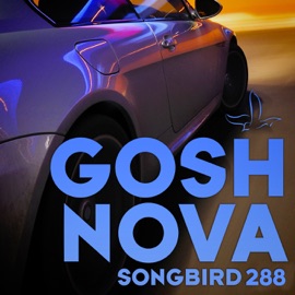 Nova (Andrew Benson Remix) Gosh