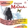 Exitos de Mana - Serie Homenaje, 2004