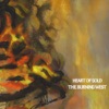 The Burning West, 2010