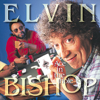 Fooled Around and Fell In Love (Instrumental) - Elvin Bishop