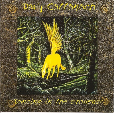 Dancing In the Shadows
