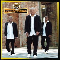 Pega o Bonde e Vem - Bonde do Tigrão