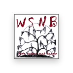 WSNB