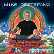 OK Karma - Mike Destefano