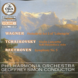 Violin Concerto in D Major, Op.35 : i. Allegro moderato