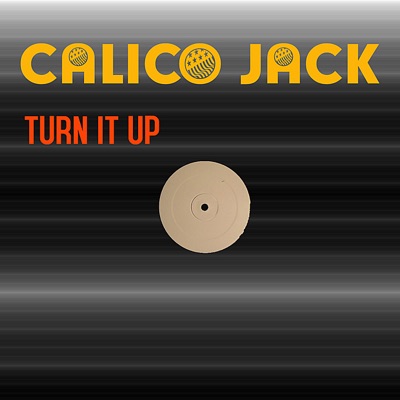 Turn It Up - Single