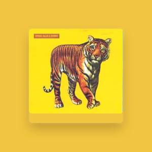 Speed, Glue & Shinki