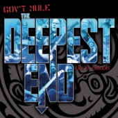 Gov't Mule - Banks of the Deep End