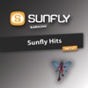 Karaoke Sunfly Hits, Vol.127