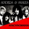 Spiders & Snakes - California Slide