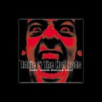 Eddie & The Hot Rods