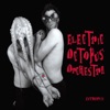 Electric Octopus Orchestra