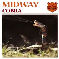 Cobra — Midway