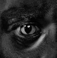 This is just an album — WILEY